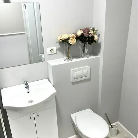 Baneasa Luxury דירה