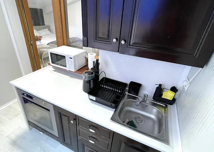 Baneasa Luxury * 布加勒斯特