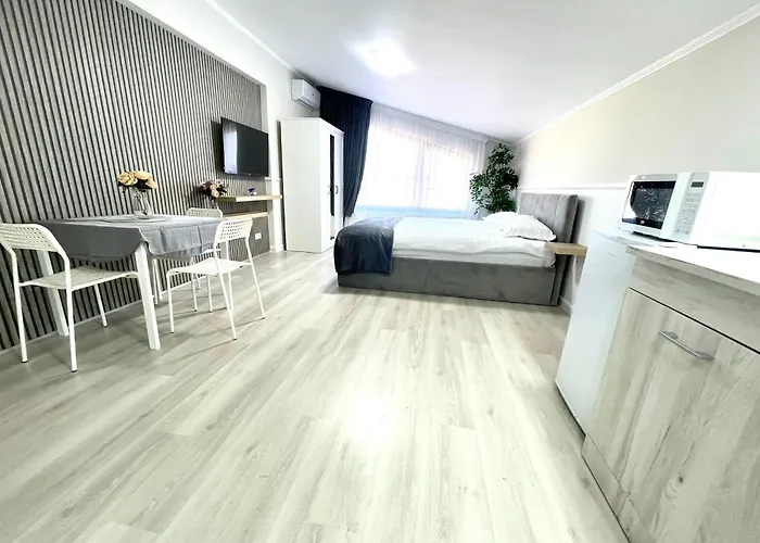 公寓 Baneasa Luxury