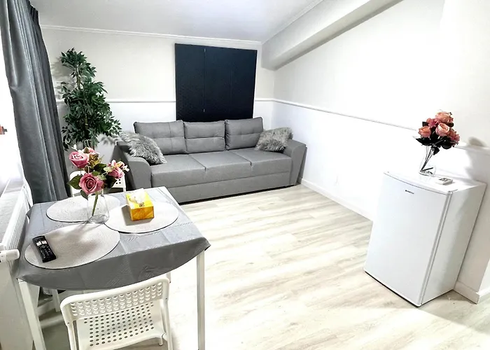 Baneasa Luxury 布加勒斯特